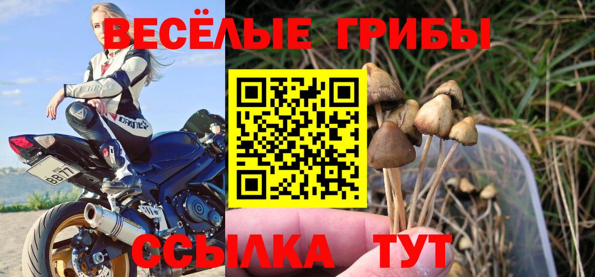Галлюциногенные грибы Magic Shrooms Лесосибирск