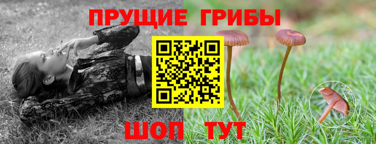 Псилоцибиновые грибы прущие грибы  Вход с VPN  Лесосибирск  даркнет сайт  Галлюциногенные грибы прущие грибы 